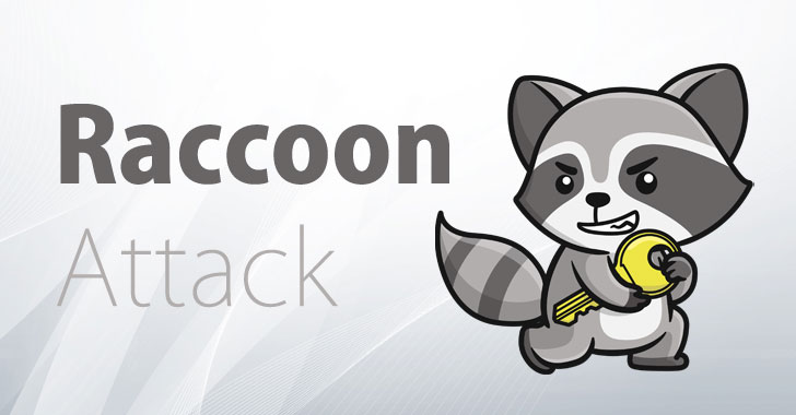 raccoon-attack-ssl-tls-encryption.jpg