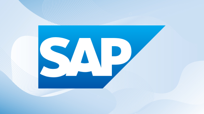 SAP 1.png