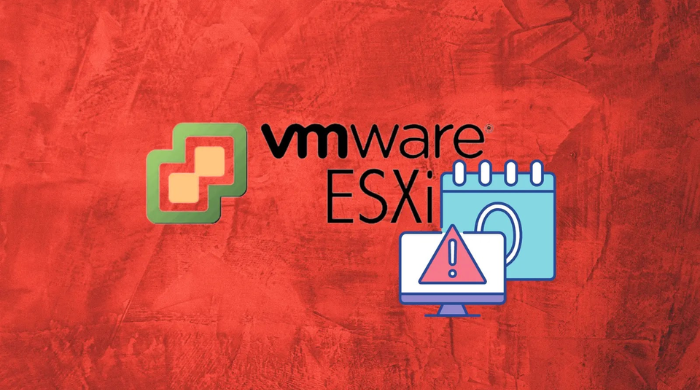 VMware ESXi.png