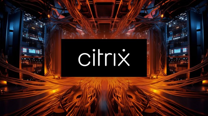 citrix-cables1.jpg
