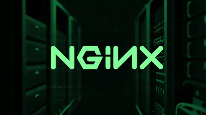 Nginx UI.png