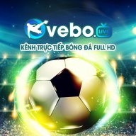 ttbongdavebotv