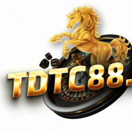 tdtc88us