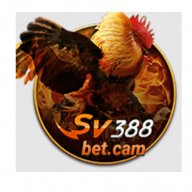 sv388betcam1