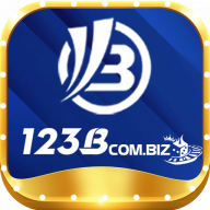 123bcombiz