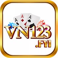 vn123fyi