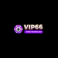 vip66techno