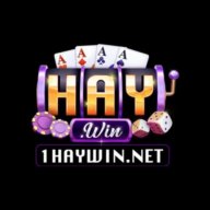 Haywin – Sân chơi game đổ