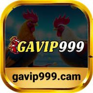 gavip999cam