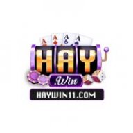 haywin11com