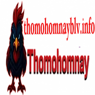 thomohomnayblvinfo