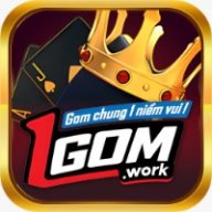 1gomwork1