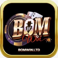 bomwin ltd