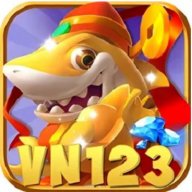 vn123norg