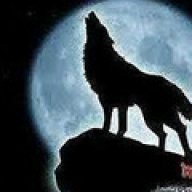 LonelyWolf