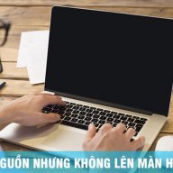 tienviet