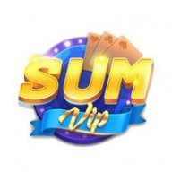 sumvipnet