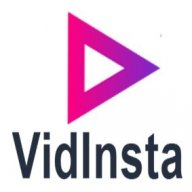 vidinstaen