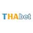 thabetgroupnet