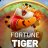Fortune Tiger