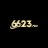 6623pro1