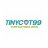 tinycat99aorg
