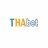 thabet1.in.net