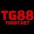 tg88tnet
