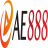 taiae888