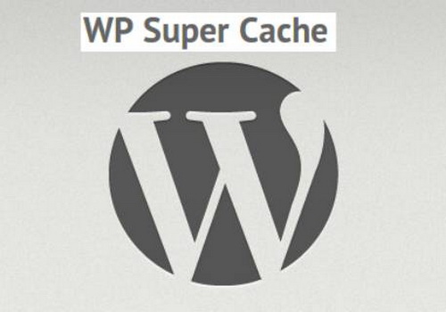 1489939942wp-super-cache.jpg