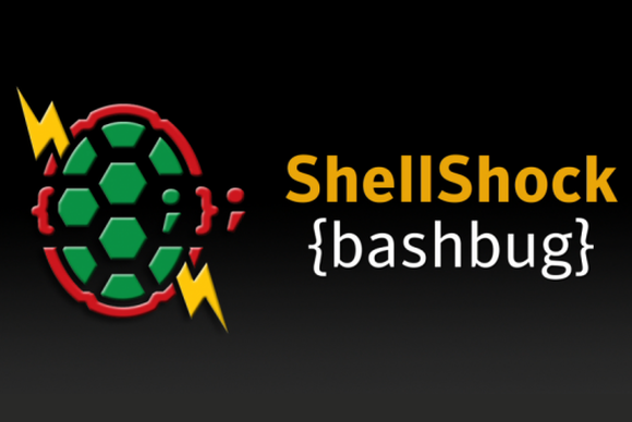 1490893086shellshock.png