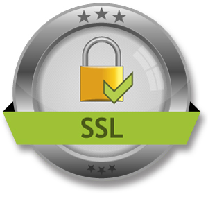 1490893091ssl-secure-hosting.jpg